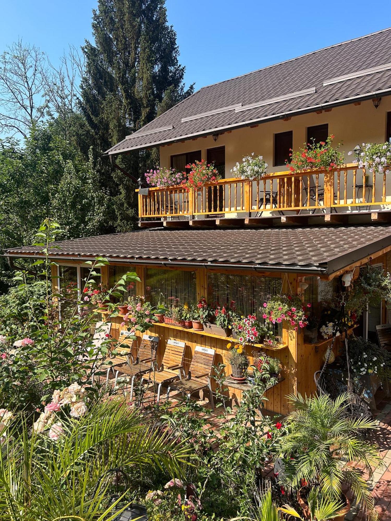 Casa Armonia Hotel Bran  Luaran gambar